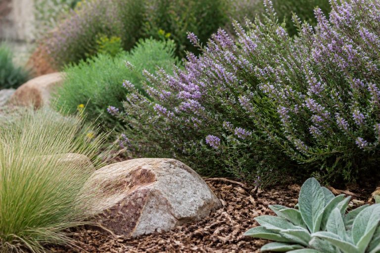 Native Planting